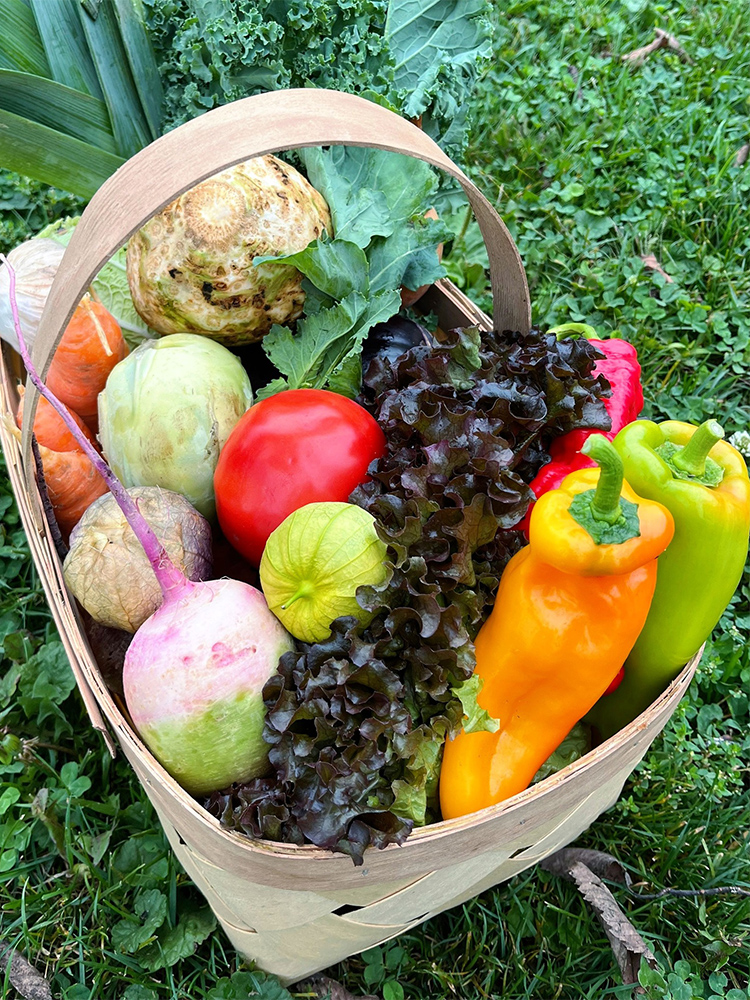 FC1 PG csa basket 400x300