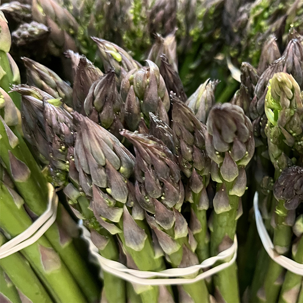 H2 NEW 4.18 asparagus tall 1000x1000