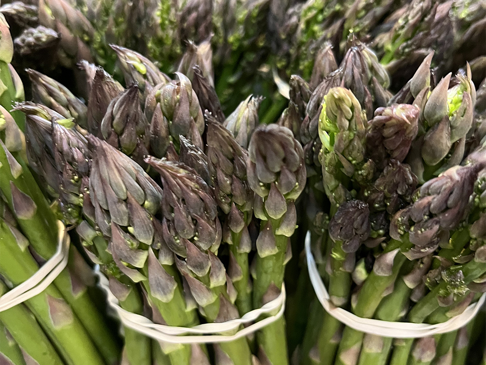 H2 NEW 4.18 asparagus tall 1000x750