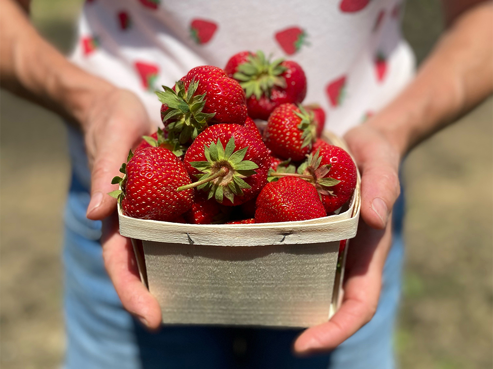 H5 NEW 4.14 NEW events button homepage strawberry picking