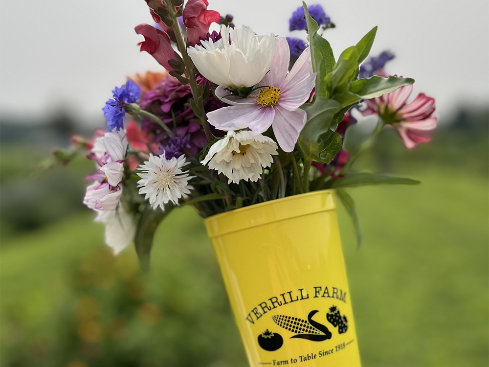 Pyo flowers cup