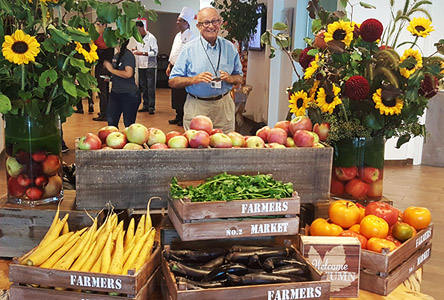 Steve Produce Display