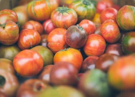 heirloom tomatoes