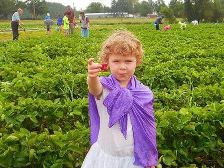 strawberryfest2017-7