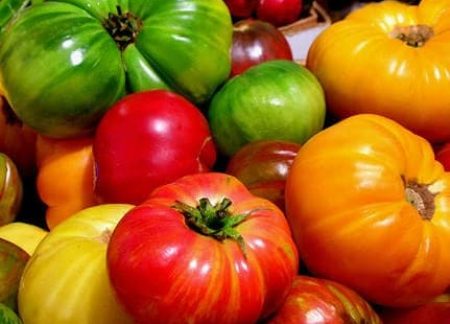 tomatopics